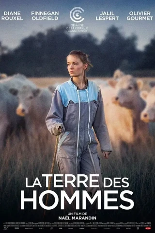 Земля мужчин (2020)